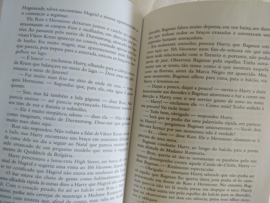 Livro harry poter